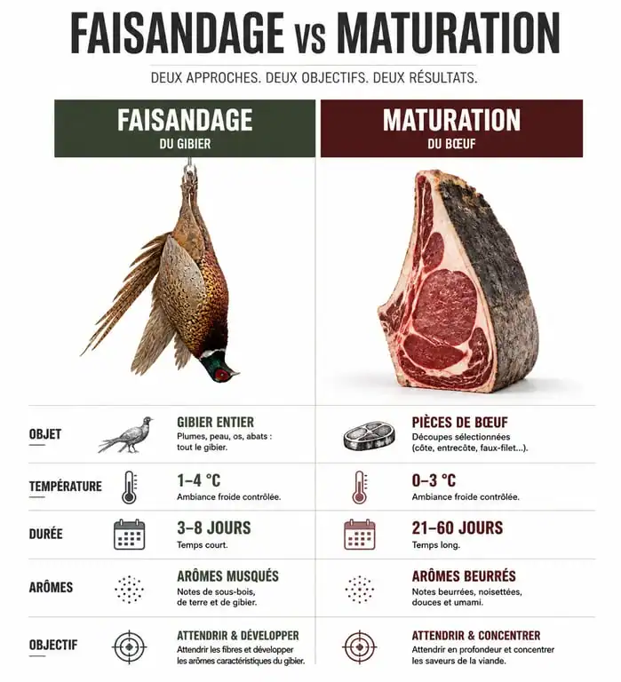 Infographie comparative entre le faisandage de la viande de gibier et la maturation du bœuf