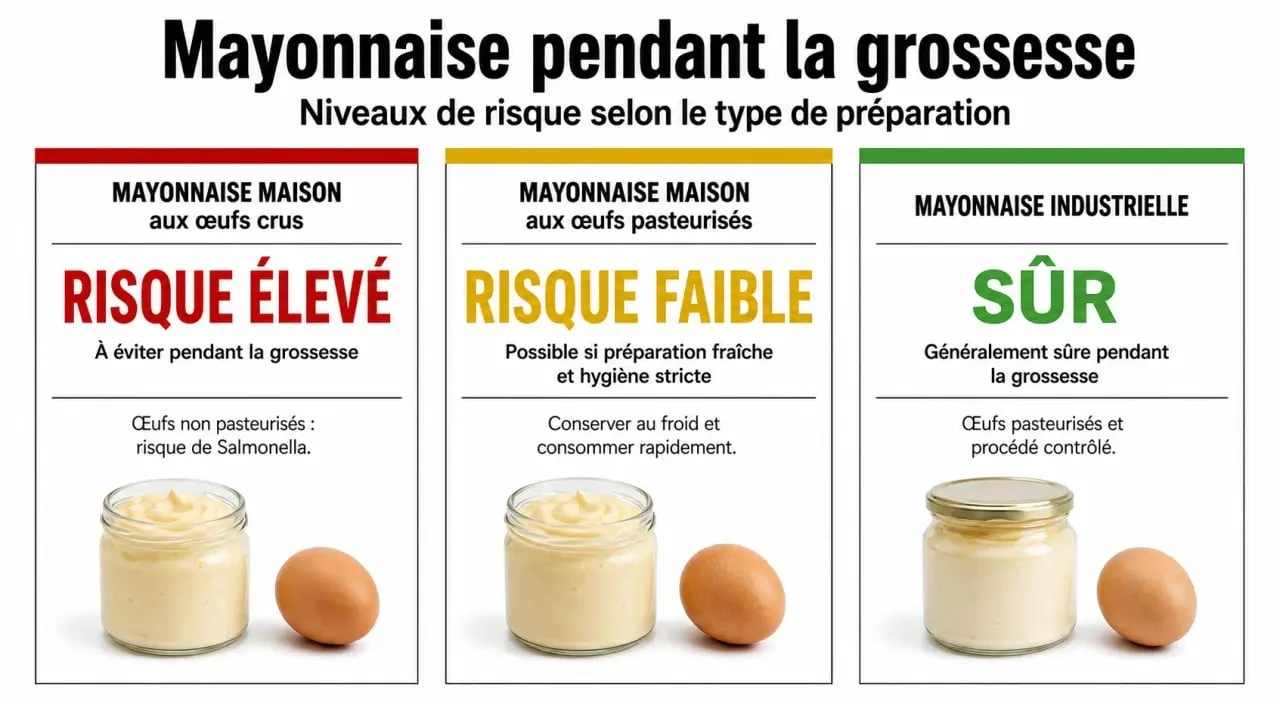 Infographie des risques liés à la consommation de mayonnaise maison enceinte